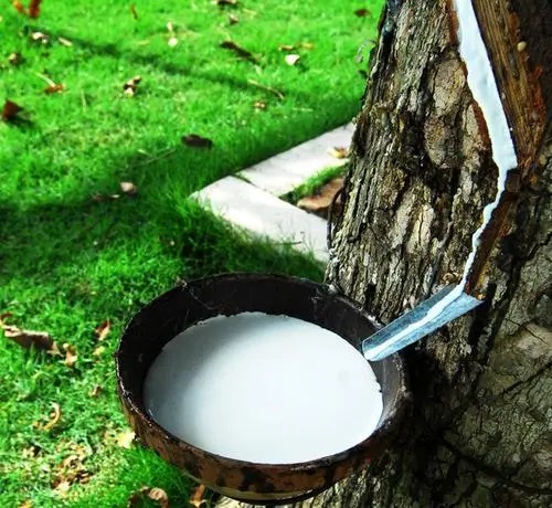 導電橡膠|2021年前七月越南向印度出口橡膠4.74萬噸