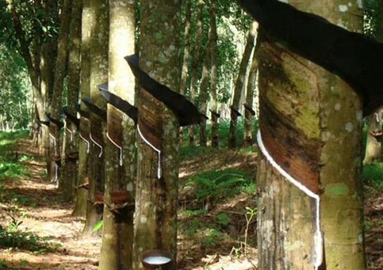 輪胎廠家、經(jīng)銷商的壓力傳導(dǎo)