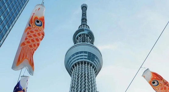日本東京西南部的小田原(Odawara)開始生產(chǎn)汽車護(hù)套