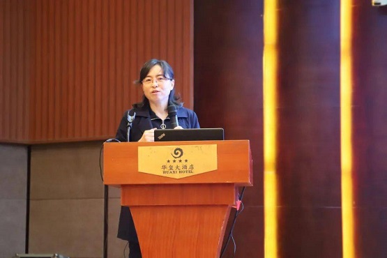 北京橡膠工業(yè)研究設(shè)計院有限公司材料研究所所長、教授級高級工程師陳宏