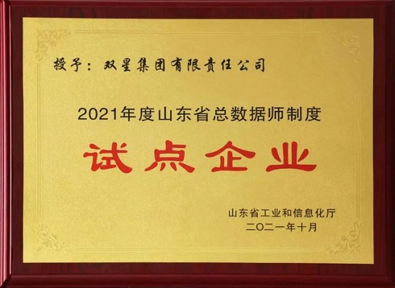 雙星輪胎進(jìn)入試點(diǎn)企業(yè)名單！