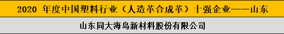 2020 年度中國(guó)塑料行業(yè)（人造革合成革）十強(qiáng)企業(yè)——山東