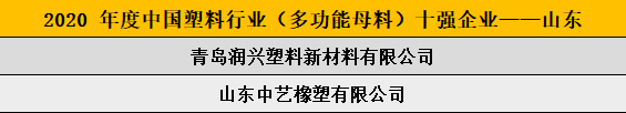 2020 年度中國(guó)塑料行業(yè)（多功能母料）十強(qiáng)企業(yè)——山東