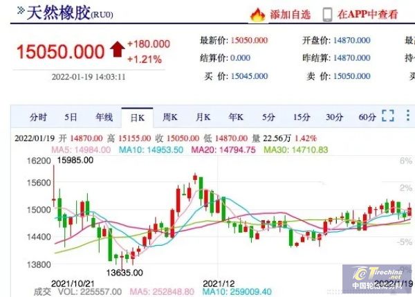 橡膠停割即將開啟，膠價還會攀升？