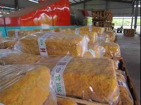 2022年越南對(duì)美橡膠出口前景樂觀
