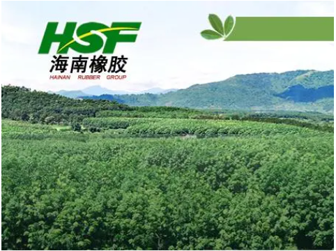 海南橡膠，扣非凈利大跳水