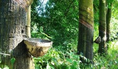 橡膠技術(shù)網(wǎng)：特種橡膠有哪些？