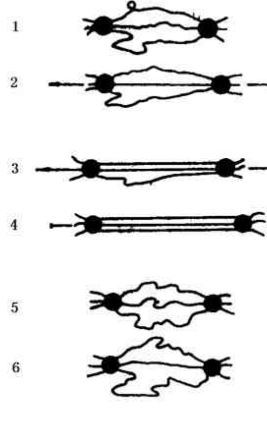 橡膠大分子鏈滑動(dòng)學(xué)說