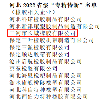 長城橡膠被認定為2022年省級專精特新中小企業(yè)