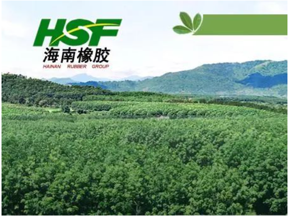 公司在不具有商業(yè)實(shí)質(zhì)的情況下進(jìn)行會(huì)計(jì)處理，導(dǎo)致多期年度報(bào)告財(cái)務(wù)信息披露不真實(shí)，違反了多項(xiàng)規(guī)定。