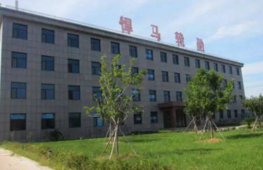 兩家輪胎公司，進(jìn)入省級名單 