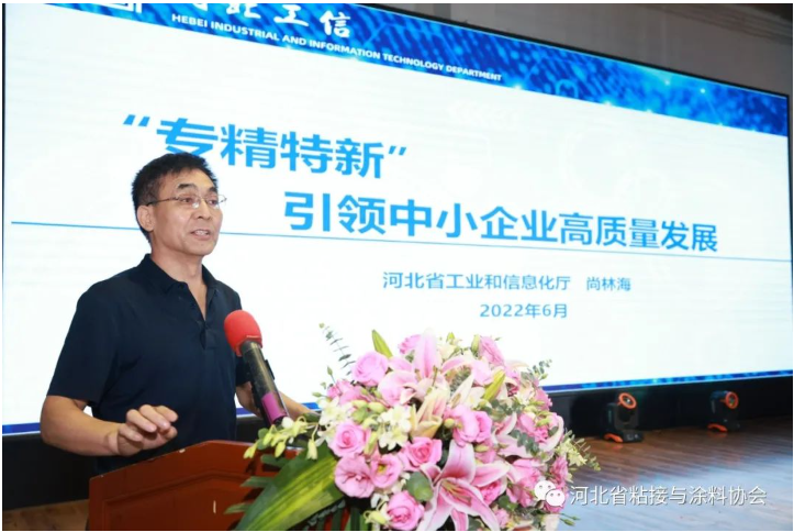，河北省工業(yè)和信息化廳尚林海處長就“專精特新”引領(lǐng)中小企業(yè)高質(zhì)量發(fā)展進(jìn)行專題報告