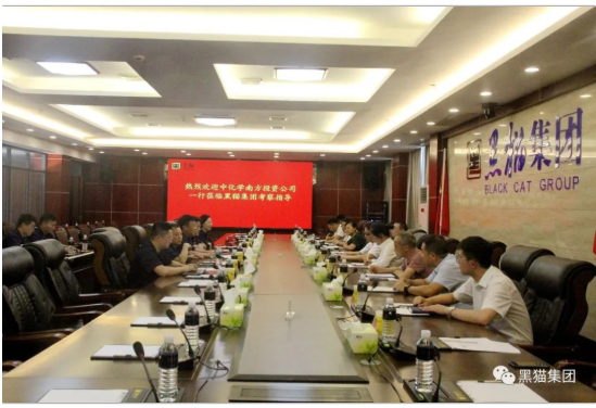 與會人員共同觀看了黑貓集團(tuán)宣傳片，并就相關(guān)問題展開深入交流。