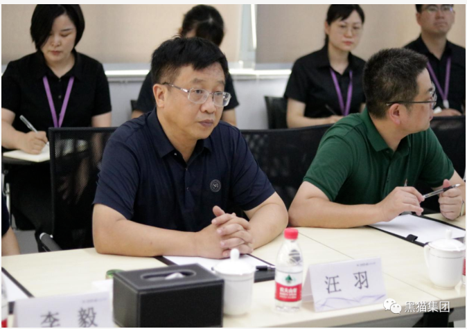 汪羽表示，安徽黑貓公司與民營企業(yè)的合作是成功的，具有可復(fù)制意義
