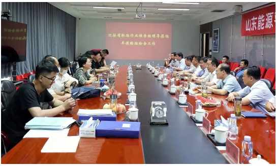 省輪胎行業(yè)核查組，檢查指導(dǎo)豐源輪胎