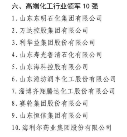 在今年高端化工行業(yè)領(lǐng)軍10強(qiáng)企業(yè)的評選中，賽輪集團(tuán)與萬達(dá)集團(tuán)共同入圍名單。