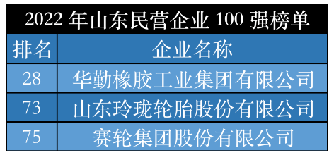 2022山東輪胎領(lǐng)軍企業(yè)，震撼發(fā)布！