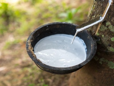 橡膠有哪些原材料？你不知道的橡膠知識(shí)