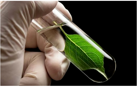 博拉表示，通過將生物基納米纖維素加入橡膠混煉膠中，提高了輪胎滾動(dòng)阻力和車輛燃油經(jīng)濟(jì)性。