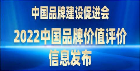 新華社：6大山東輪胎品牌價值榜！