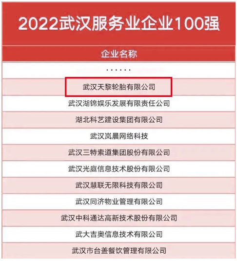 武漢天黎，連續(xù)五年入選政府榜單！