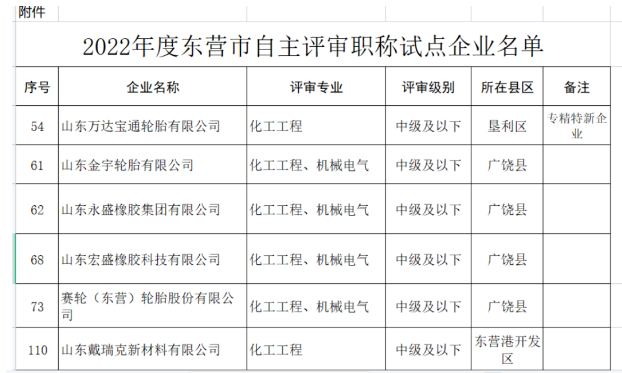職稱自主評審，5家輪胎企業(yè)試點(diǎn)！