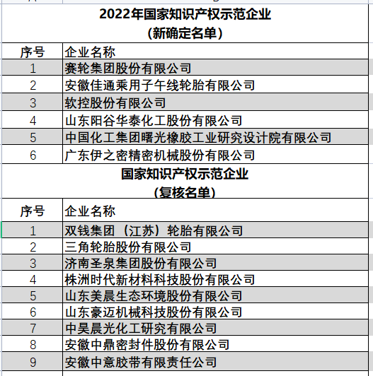 2022年國(guó)家知識(shí)產(chǎn)權(quán)優(yōu)勢(shì)企業(yè)（新確定名單）以及國(guó)家知識(shí)產(chǎn)權(quán)示范企業(yè)（復(fù)核名單）