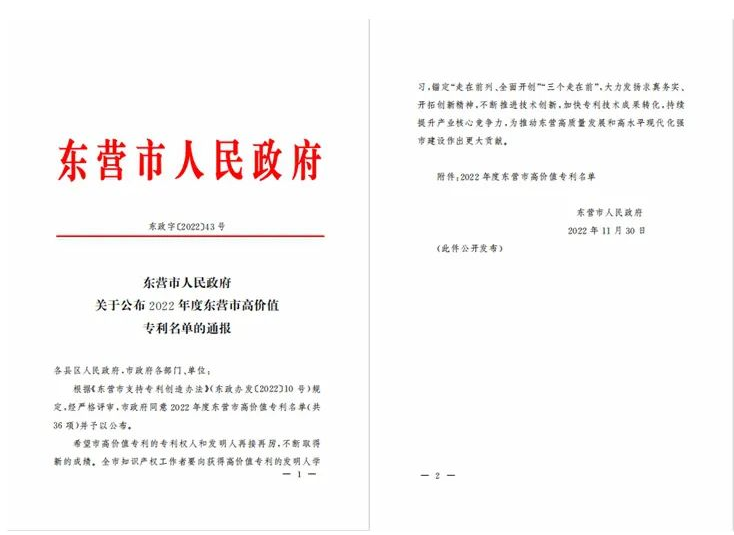 耐斯特炭黑公司發(fā)明專利榮獲東營(yíng)市高價(jià)值專利