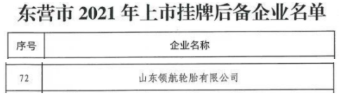 領航輪胎