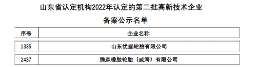 最新：六家輪胎入選高新企業(yè)！