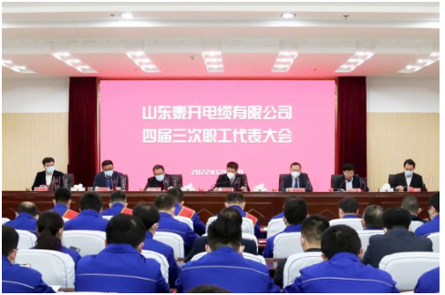 　泰開電纜董事長盧俊良作重要講話。