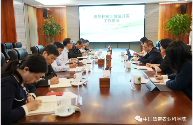 中國(guó)天然橡膠協(xié)會(huì)、國(guó)家天然橡膠產(chǎn)業(yè)技術(shù)體系?？谡窘M織開(kāi)展產(chǎn)業(yè)調(diào)研