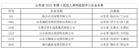 其中，東營(yíng)市華東線纜集團(tuán)有限公司、臨沂沂光電纜有限公司、山東鷹聯(lián)光電科技股份有限公司、山東泰瑞豐新材料有限公司、山東無(wú)棣海豐電纜有限公司、煙臺(tái)鑫泰電纜有限公司等多家電線電纜企業(yè)進(jìn)入山東省2023年第1批擬入庫(kù)科技型中小企業(yè)名單。