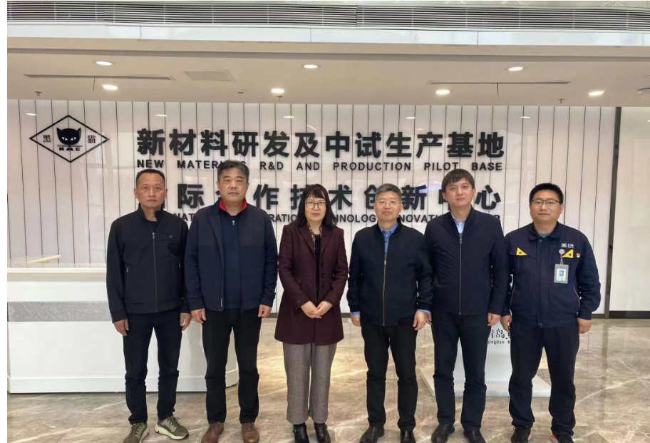 中國橡膠工業(yè)協(xié)會炭黑協(xié)會秘書長丁麗萍、中昊黑元化工研究設計院王家貴院長一行考察了青島黑貓研究院。黑貓股份黨委副書記、總經(jīng)理魏明陪同考察組一同參觀了中試車間、黑貓文化展廳、研發(fā)中心及產(chǎn)學研中心。