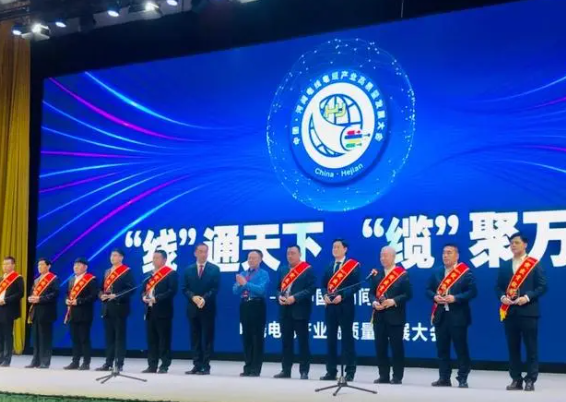 大會(huì)還頒發(fā)了“河間電線電纜產(chǎn)業(yè)突出貢獻(xiàn)獎(jiǎng)”、“河間電線電纜產(chǎn)業(yè)銷(xiāo)售明星獎(jiǎng)”，常豐線纜有限公司、華旗線纜有限公司、滄州會(huì)友線纜股份有限公司等10家企業(yè)獲得突出貢獻(xiàn)獎(jiǎng)，竇義昌、宋福生、趙博娟等15人獲得銷(xiāo)售明星獎(jiǎng)。此外，會(huì)上播放了“河間電線電纜產(chǎn)業(yè)專(zhuān)題片”，講述河間電線電纜發(fā)展史、產(chǎn)業(yè)總體情況、企業(yè)產(chǎn)品、未來(lái)發(fā)展等。