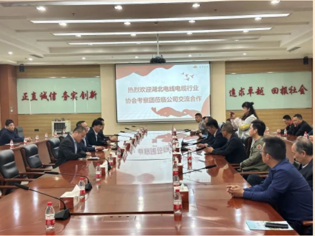 山東泰開電纜有限公司總經(jīng)理張愛華陪同下，交流團(tuán)一行人參觀了集團(tuán)展廳，詳細(xì)了解集團(tuán)的發(fā)展歷程、經(jīng)營理念、科研創(chuàng)新、核心零部件等情況，同時(shí)考察了集團(tuán)下屬高壓、電纜制造現(xiàn)場(chǎng)。在座談會(huì)上，雙方就技術(shù)研發(fā)、生產(chǎn)管理、質(zhì)量控制、員工獎(jiǎng)勵(lì)等方面的問題進(jìn)行了友好互動(dòng)交流。