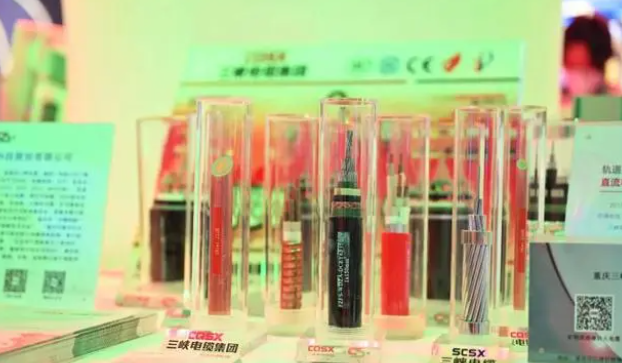 三峽電纜在展會(huì)現(xiàn)場展示了公司自主研發(fā)的一系列產(chǎn)品，其中包括重慶第一條軌道交通直流(FZ/FYS-GEA3DC)電纜、35kv軌道交通電纜以及礦物質(zhì)絕緣防火電纜(BTTZ、RTTZ、NG-A BTLY、BBTRZ)等。這些產(chǎn)品憑借其卓越的性能和質(zhì)量吸引了現(xiàn)場嘉賓和觀眾的高度關(guān)注。