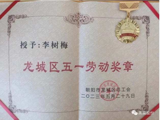 李樹梅同志在她的工作崗位上展現(xiàn)出了杰出的能力和卓越的業(yè)績(jī)。作為公司中層干部，她始終將公司利益置于首位，并不斷提升自己的專業(yè)水平。她通過努力學(xué)習(xí)，先后取得了管理學(xué)和工學(xué)學(xué)士學(xué)位，并獲得了經(jīng)濟(jì)師、機(jī)電工程師、電子工程師和化工助理工程師等多個(gè)職業(yè)資格證書。在她的帶領(lǐng)下，市級(jí)職工職業(yè)技能培訓(xùn)基地得以成立，為公司培養(yǎng)了更多的技術(shù)人才。