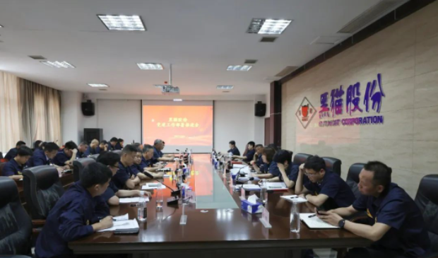 黑貓股份召開了基層黨建工作部署推進會，旨在進一步強化黨對公司及各單位發(fā)展的引領作用。黑貓股份黨委副書記、董事長、總經(jīng)理魏明以及黨政領導班子成員出席了會議，會議由公司黨委專職副書記周芝凝主持。