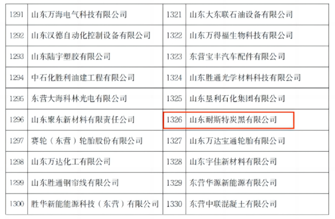 這一殊榮充分肯定了耐斯特公司在自主創(chuàng)新的研發(fā)實力和數(shù)字科技成果轉(zhuǎn)化能力方面所取得的成就。耐斯特炭黑公司長期以來一直高度重視數(shù)字化建設(shè)，致力于產(chǎn)品迭代服務(wù)和持續(xù)提升，通過自身的數(shù)字賦能行動在激烈的市場競爭中脫穎而出，展現(xiàn)出了不斷發(fā)展壯大的信心和決心。