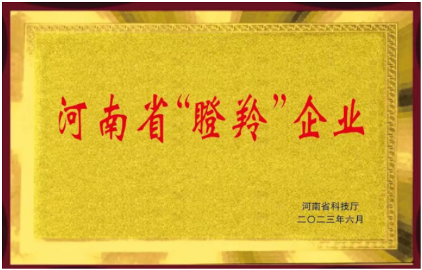 恒力橡塑股份有限公司的入選不僅證明了該公司在橡膠助劑領域的突出成就，同時也彰顯了河南省在科技創(chuàng)新和高新技術企業(yè)培育方面的努力。