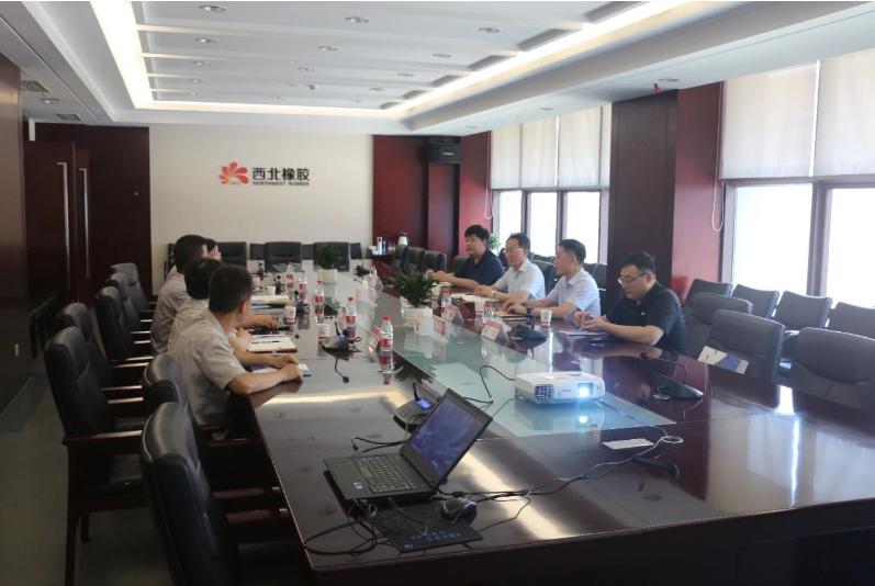 通用技術(shù)高新材料副總經(jīng)理李開占一行前往陜西延長石油西北橡膠有限公司進行了交流訪問。公司副總經(jīng)理賀莉莉、相關(guān)部門負責(zé)人陪同。