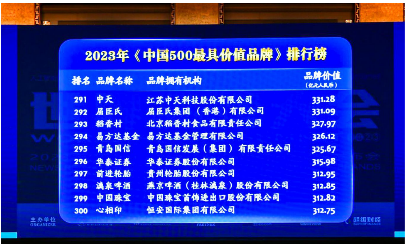 貴州輪胎前進品牌以312.95億元人民幣的價值位列2023年(第二十屆)中國500最具價值品牌第297名。與去年相比，貴州輪胎前進品牌的品牌價值增加了42.3億元人民幣，進一步鞏固了其在國內(nèi)市場的地位，并成功進軍國際化品牌陣營。