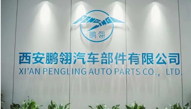 西安鵬翎工廠的成功投產標志著鵬翎集團化發(fā)展的重要里程碑。鵬翎集團通過搭建"六地七廠"的近地化網(wǎng)絡覆蓋，成功構建了從華北到華南、由華東至西北的生產網(wǎng)絡和服務網(wǎng)絡，充分發(fā)揮了集團的優(yōu)勢。