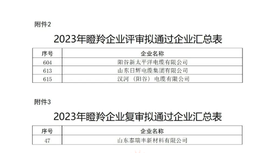 山東省工業(yè)和信息化廳在本次認(rèn)定工作中嚴(yán)格按照相關(guān)文件規(guī)定的程序和標(biāo)準(zhǔn)進(jìn)行評選，充分尊重市場主體自愿申報(bào)的原則，注重專家評審和第三方信用評級的公正性與權(quán)威性，確保了認(rèn)定結(jié)果的準(zhǔn)確性和公信力。