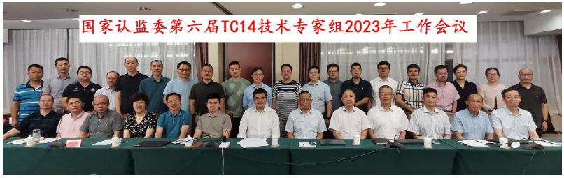 會(huì)議主要聚焦于新版方法標(biāo)準(zhǔn)GB/T521-2023、GB/T4501-2023、GB/T4502-2023的換版要求，以及輪胎滾動(dòng)阻力、濕路面相對抓著性能的納入GB 9743、GB 9744發(fā)布實(shí)施后輪胎CCC認(rèn)證實(shí)施方案。同時(shí)，專家們還深入探討了在認(rèn)證檢測實(shí)施過程中所面臨的技術(shù)難題。