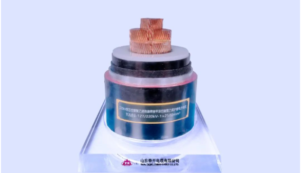 展望未來(lái)，泰開(kāi)電纜表示將繼續(xù)發(fā)揮科研平臺(tái)在關(guān)鍵技術(shù)攻關(guān)、科技成果轉(zhuǎn)化、創(chuàng)新人才培養(yǎng)、產(chǎn)學(xué)研協(xié)同發(fā)展等方面的重要作用，力爭(zhēng)實(shí)現(xiàn)新產(chǎn)品、新技術(shù)、新工藝方面的再突破，助力行業(yè)和產(chǎn)業(yè)鏈的協(xié)同發(fā)展!