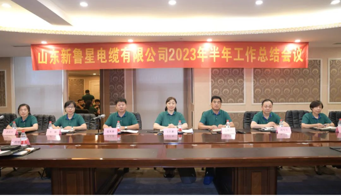 王紅梅最后強調(diào)信心的重要性，她鼓勵團隊在逆境中堅定戰(zhàn)勝困難的信心，相信魯星團隊具備了勇于沖鋒的精神和打硬仗、打勝仗的能力，相信魯星團隊定能戰(zhàn)勝二次創(chuàng)業(yè)道路上的一切困難。
