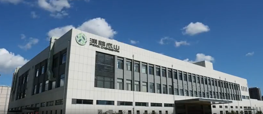值得注意的是，這一項(xiàng)目的取得并非一蹴而就，而是基于浦林成山公司近年來(lái)在工業(yè)互聯(lián)網(wǎng)領(lǐng)域不斷積累的經(jīng)驗(yàn)。在“工廠(chǎng)智能化管理駕駛艙項(xiàng)目”中，公司通過(guò)全面收集和分析生產(chǎn)數(shù)據(jù)，實(shí)現(xiàn)了生產(chǎn)過(guò)程的實(shí)時(shí)預(yù)警和問(wèn)題追溯，確保了輪胎產(chǎn)品質(zhì)量的一致性。