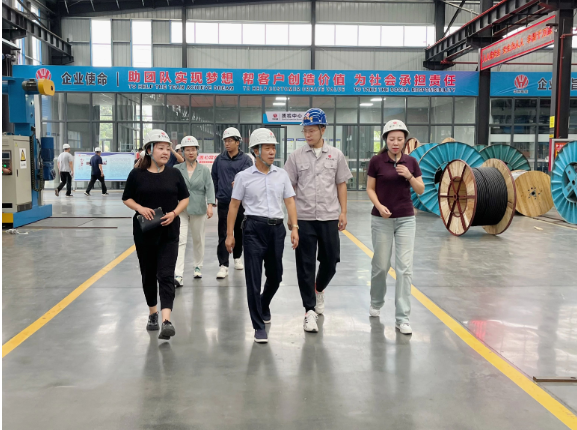 華東電纜表示下半年將集中精力提高產(chǎn)品質(zhì)量，強(qiáng)化風(fēng)險(xiǎn)防控，積極應(yīng)對市場訂單，全力以赴，確保完成全年經(jīng)營發(fā)展目標(biāo)任務(wù)，進(jìn)一步推動經(jīng)濟(jì)實(shí)現(xiàn)有效提升和合理增長。